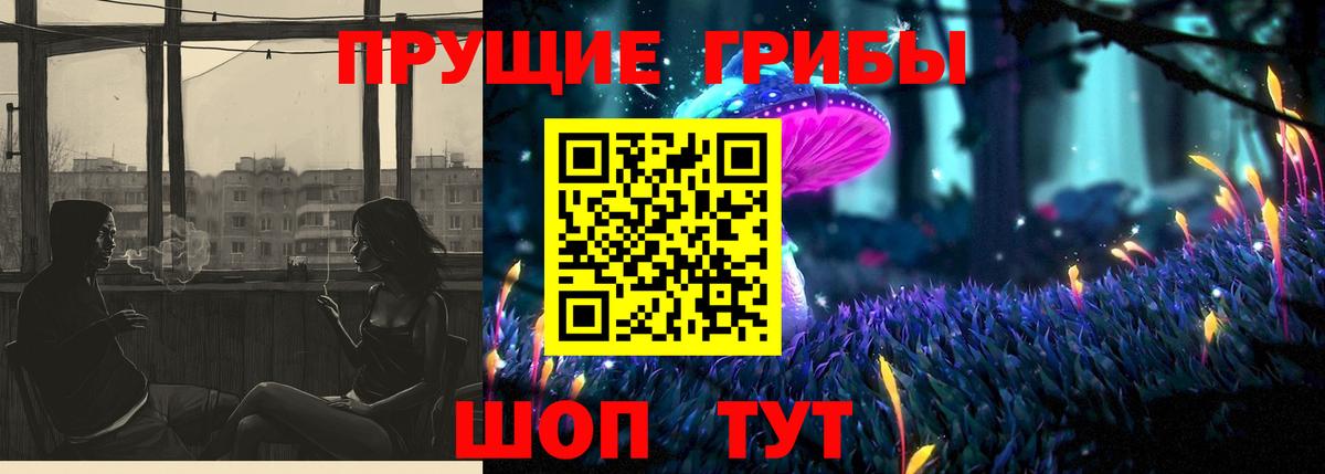 Королёв  Галлюциногенные грибы мицелий  Вход с VPN 